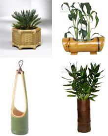 جدیدترین مدلهای گلدان چوب بامبو (m4425)|ایده ها