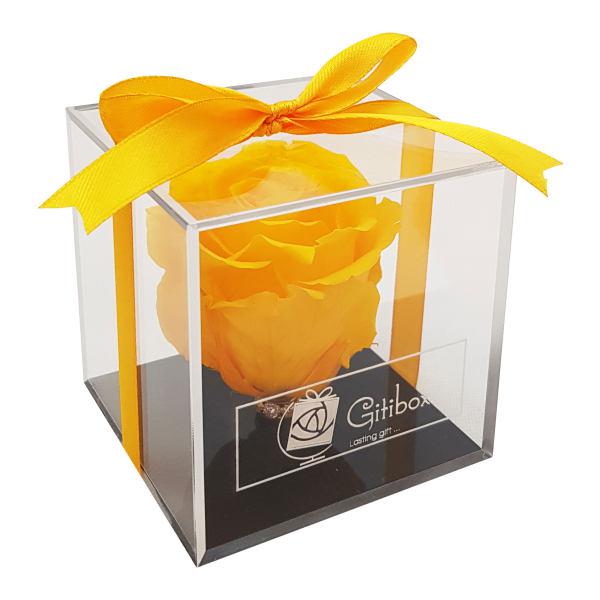 جعبه گل رز جاودان گیتی باکس مدل کیوب 005|دیجی‌کالا