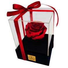 جعبه گل ماندگار دکوفیوره مدل رز جاودان 