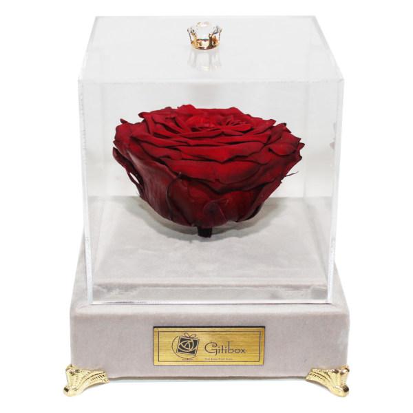 جعبه گل ماندگار گیتی باکس مدل رز جاودان قرمز لاکچری ملانژ - سایز گل معمولی|دیجی‌کالا