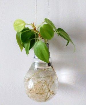 گلدان با لامپ (m28398)|ایده ها