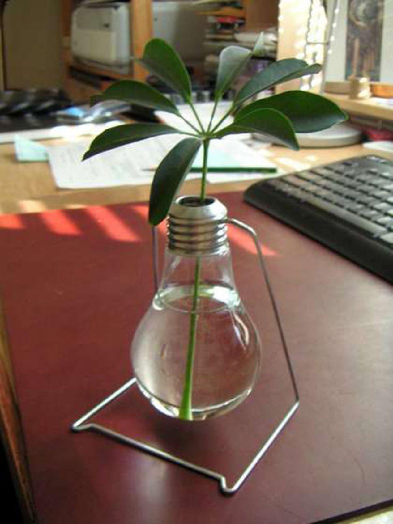 گلدان با لامپ (m28348)|ایده ها