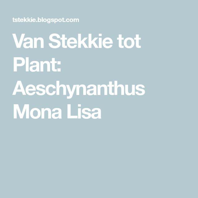 اسكينانتوس (گیاه رژ لب) (m37551)|ایده ها
