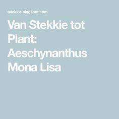 اسكينانتوس (گیاه رژ لب) (m37551)