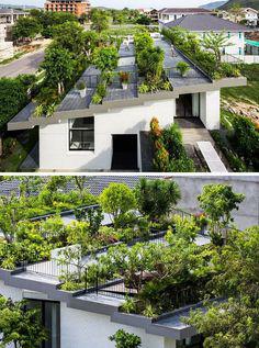 طراحی باغچه پشت بام (m50415)