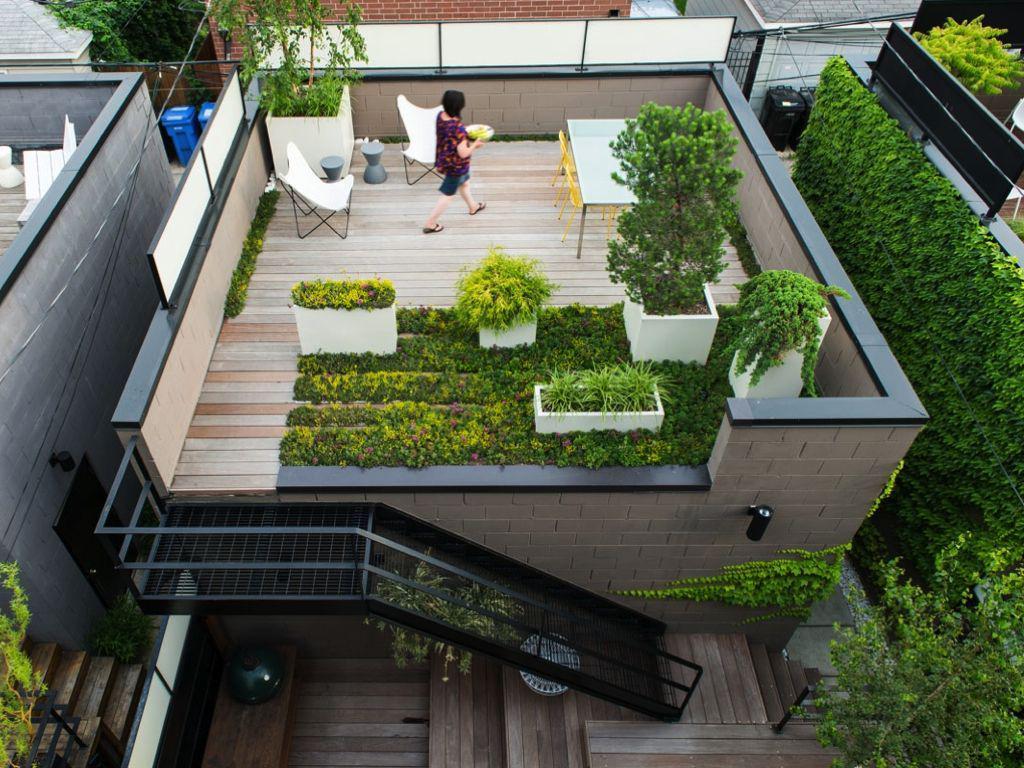 طراحی باغچه پشت بام (m58606)|ایده ها