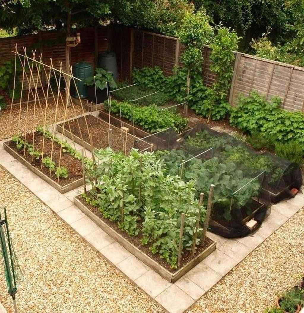 طراحی باغچه در حیاط (m58759)|ایده ها