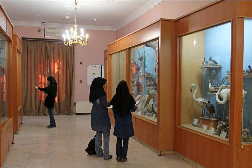 موزه آثار طبیعی و حیات‌ وحش هفت چنار - تهران (m86336)|ایده ها