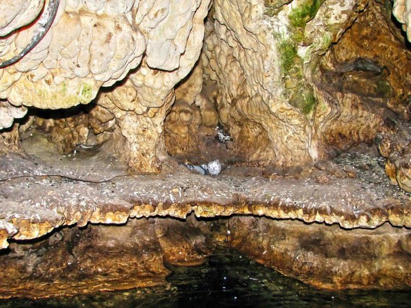 غار سهولان - مهاباد (m85465)|ایده ها