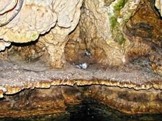 غار سهولان - مهاباد (m85465)