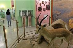 موزه آثار طبیعی و حیات‌ وحش هفت چنار - تهران (m86337)