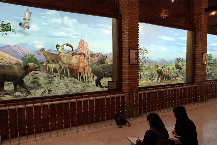 موزه آثار طبیعی و حیات‌ وحش هفت چنار - تهران (m86334)|ایده ها
