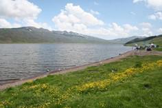دریاچه نئور - اردبیل (m85447)