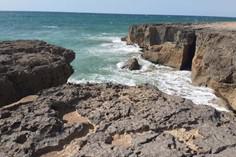ساحل صخره ای چابهار (ساحل دریا بزرگ) - چابهار (m85778)