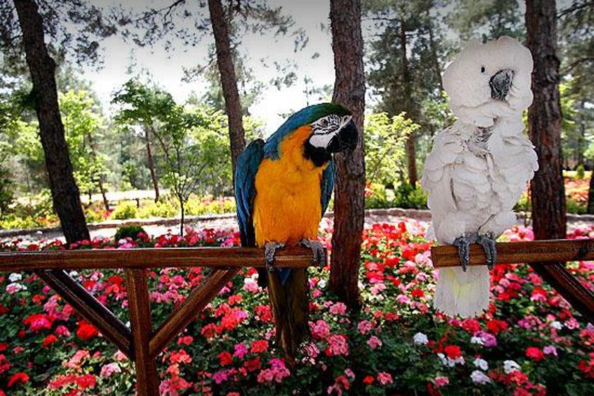 باغ پرندگان تهران - تهران (m85925)|ایده ها