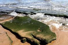 ساحل صخره ای چابهار (ساحل دریا بزرگ) - چابهار (m85779)
