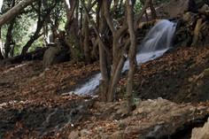 آبشار یاسوج - یاسوج (m86193)