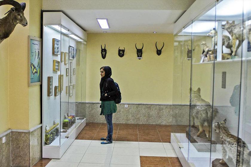 موزه تاریخ طبیعی ارومیه - ارومیه (m90082)|ایده ها