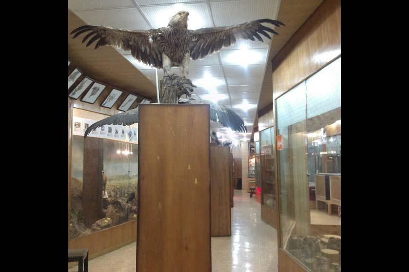 موزه تاریخ طبیعی دانشگاه اراک - اراک (m89274)|ایده ها