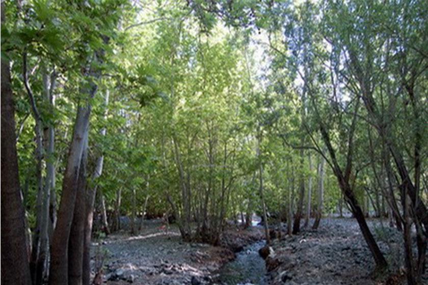 رودخانه دلبر - سبزوار (m92281)|ایده ها