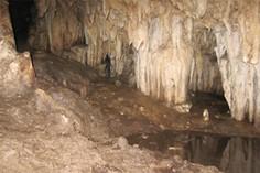غار ویشو - جهرم (m91185)