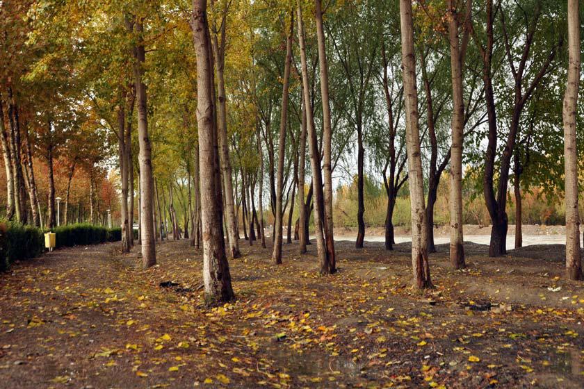 پارک جنگلی ناژوان - اصفهان (m88796)|ایده ها