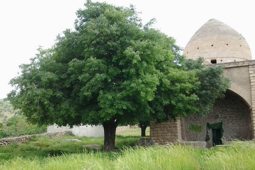 مقبره شهنشاه (شجاع الدین خورشید) - خرم آباد (m91252)|ایده ها