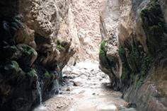 چشمه آب گرم مرتضی علی  - طبس (m93493)
