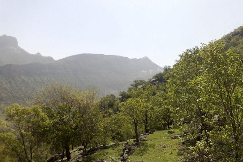 منطقه حفاظت‌ شده کوه خامین - گچساران (m92657)|ایده ها