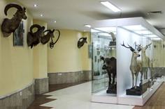 موزه تاریخ طبیعی ارومیه - ارومیه (m90081)