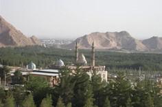 پارک جنگلی قائم کرمان - کرمان (m90975)