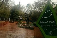 پارک قیطریه تهران - تهران (m87532)