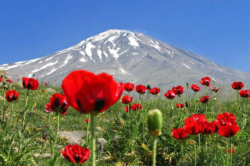 قله دماوند - لاریجان (m89545)|ایده ها