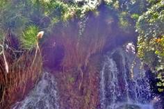 آبشار خفر - جهرم (m91187)