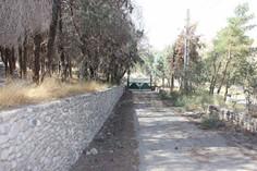 پارک ملی خجیر - تهران (m89629)