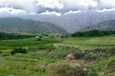 روستای کلم - ایلام (m89595)