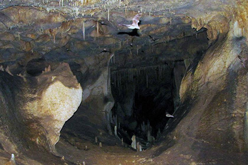 غار قلعه کرد  -  آبگرم (آوج) (m91762)|ایده ها