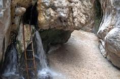 چشمه آب گرم مرتضی علی  - طبس (m93494)