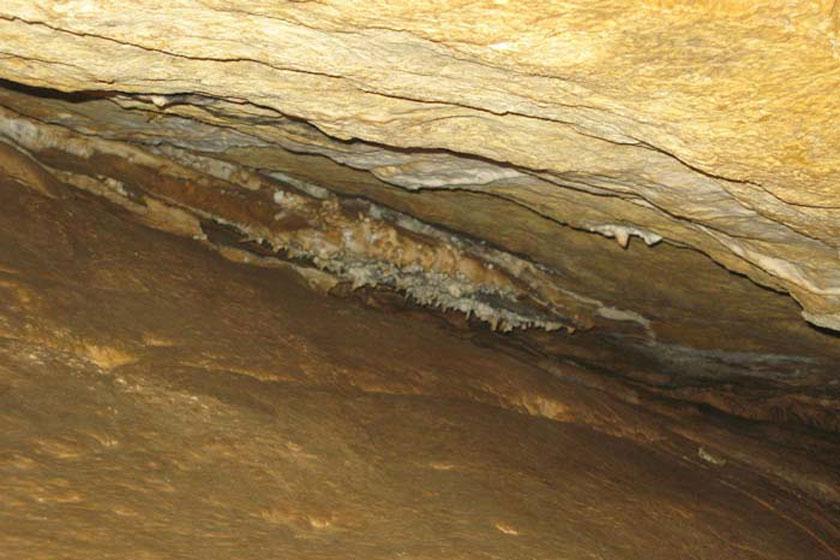 غار آسیلی انجدان - اراک (m90429)|ایده ها
