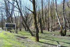 پارک جنگلی باقر آباد - مینودشت (m91639)