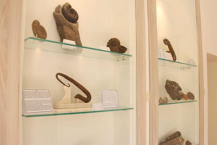 موزه دیرینه شناسی کامبرین - یزد (m93114)|ایده ها