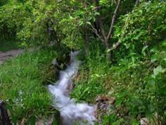 آبشار گرینه نیشابور - نیشابور (m93941)