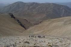 کوه اهوران - چرداول (m89581)