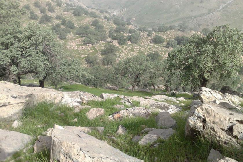 منطقه حفاظت‌ شده کوه خامین - گچساران (m92658)|ایده ها