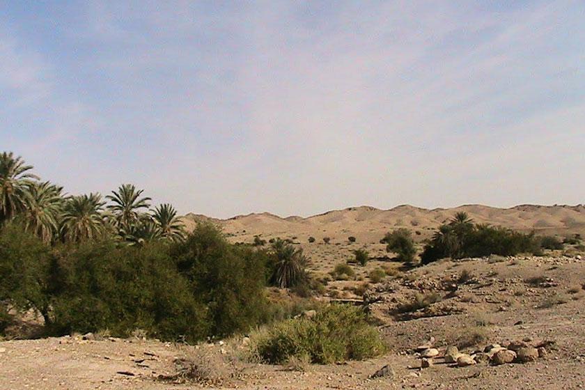 منطقه حفاظت شده هرمد - لار (m89393)|ایده ها