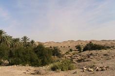 منطقه حفاظت شده هرمد - لار (m89393)