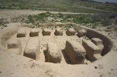 شهر باستانی گور فیروز آباد - فيروزآباد (m90995)