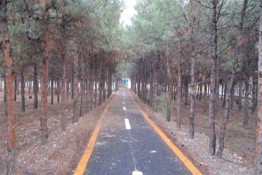 پارک جنگلی شهید چمران  - ساوه (m92774)|ایده ها
