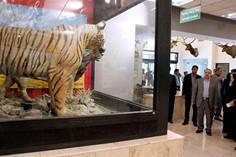  موزه‌ بوستان جنگلی پردیسان - تهران (m88904)