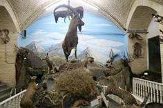 موزه علوم طبیعی یزد - یزد (m93116)